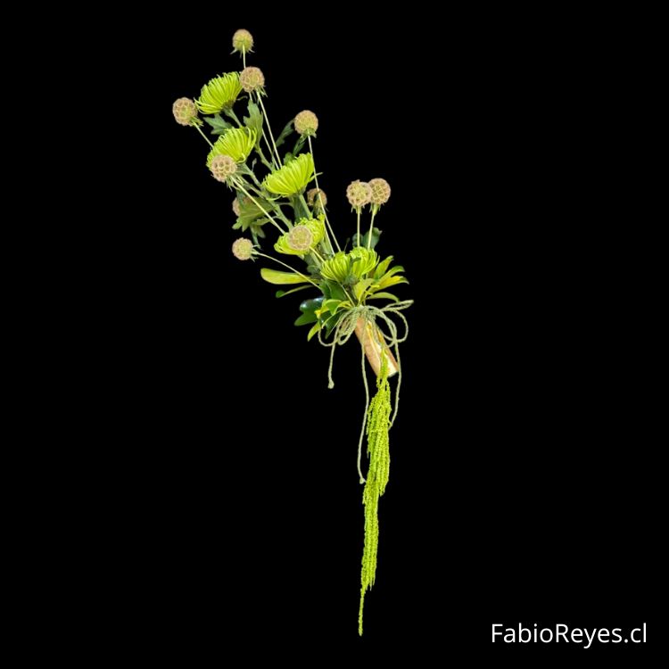 Plants: image 1 0f 4 thumb