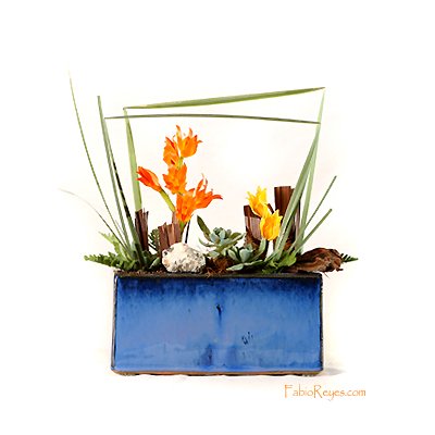 Plants: image 1 0f 4 thumb